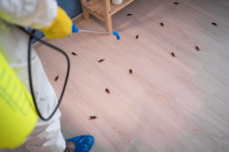Roach Extermination